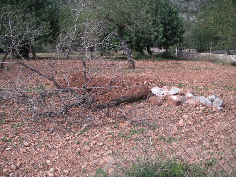 campo (3)  FOTOS IMAGENES